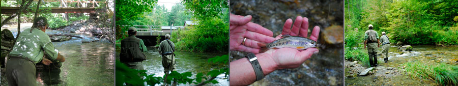 Fly Fishing Guide Vermont New York Michigan