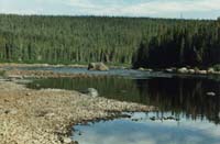 Top of the Rattle, Big River