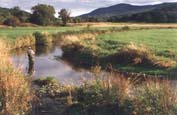 Fishing the Mettowee 