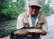 17 Inch Holdover Brown Trout